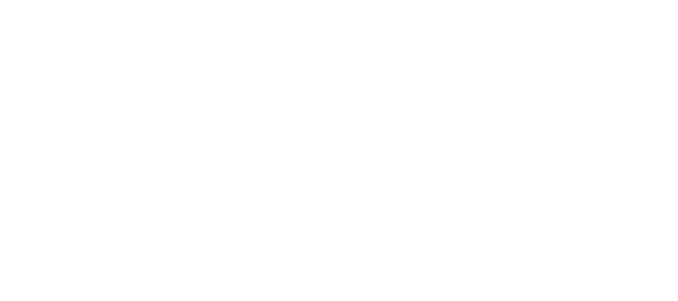 Speck Pumps Asia